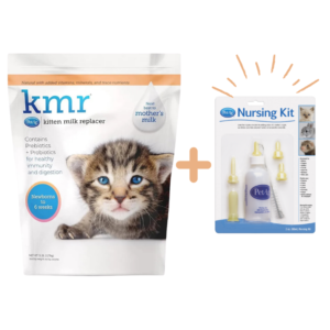 PetAg KMR Sustituto De Leche En Polvo Para Gatitos 2.72 Kg + Kit